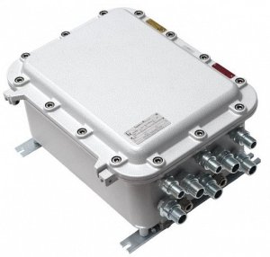 TFortis PSW-1G 4F Ex TFortis PSW-1G 4F Ex